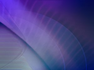宠物绝育后恢复期护理技巧，避免感染
